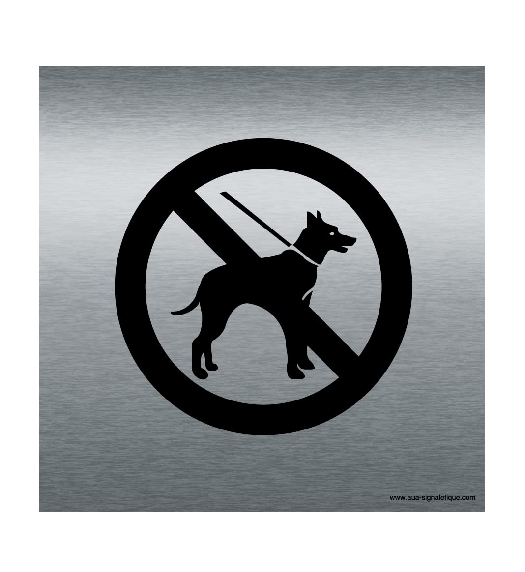 AUA SIGNALETIQUE - Plaque Aluminium Brossé Chien Interdit - 200x200 mm, Argent, 200 x 200 mm