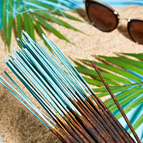 Dpnamron Ocean Wind - 100 Wildberry Incense Sticks #TOP2