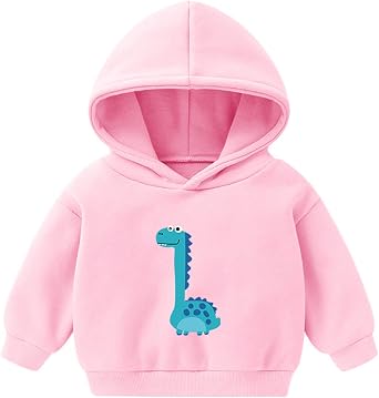 Teen Girl Clothes Toddler Boys Girls Winter Long Sleeve Hoodie Sweatshirt Outwear for Kids Clothes Longnecked Dinosaurs Prints Sweatshirt