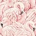 Produktbild rasch Tapete 803204 aus der Kollektion Lucy in the Sky  Vliestapete in Rosa mit Flamingo-Design  10,05m x 53cm (L x B)