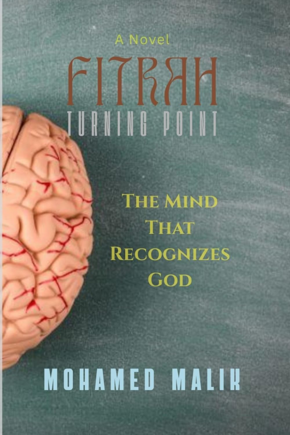 FITRAH: Turning Point: A Novel of Science, Faith, and the Search for Consciousness