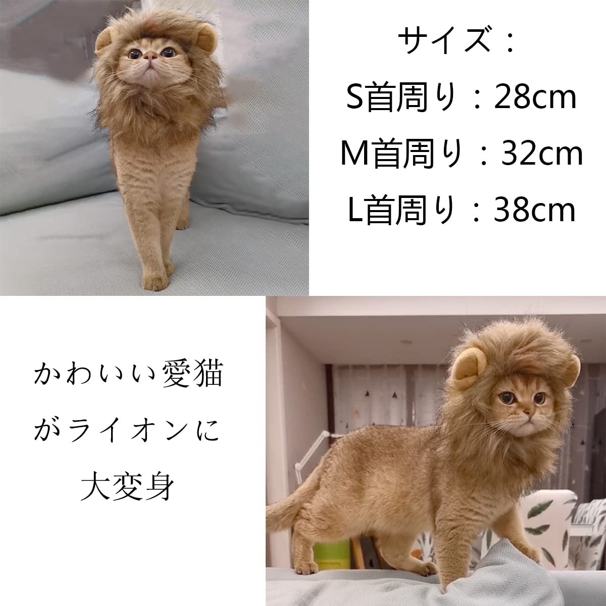 Amazon | 犬 猫用ウィッグ ペット用帽子 ライオン 猫被り物 可愛い