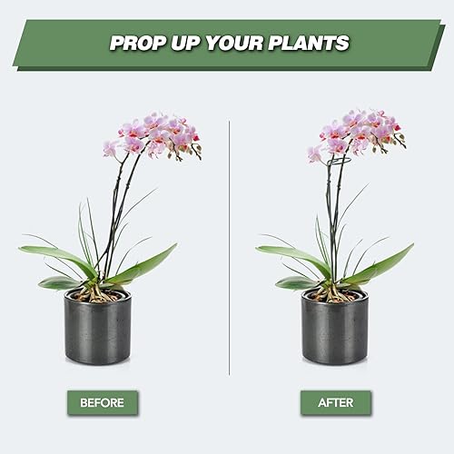 Miniatura 2 de Joyhalo Paquete de 12 estacas para plantas, estacas de soporte para plantas de 16 pulgadas, soporte de palos para plantas con 24 lazos giratorios,