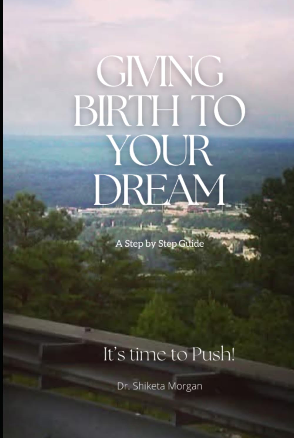 Giving Birth To Your Dream