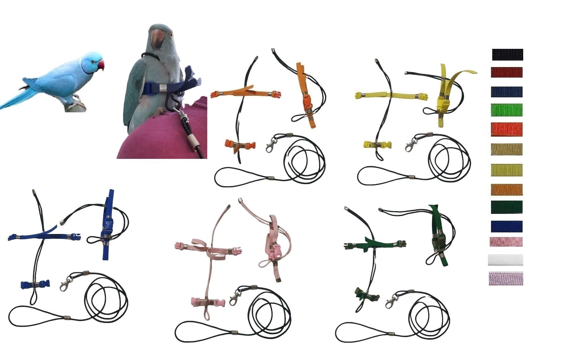 PETTORINA ELASTICA GIALLA PER PAPPAGALLI PARROCCHETTO DAL COLLARE,nastro 10mm, 2 attacchi,PLASTICA O METALLO SGANCIABILI REGOLABILI con GUINZAGLIO 1M x tutte le razze + amuleto