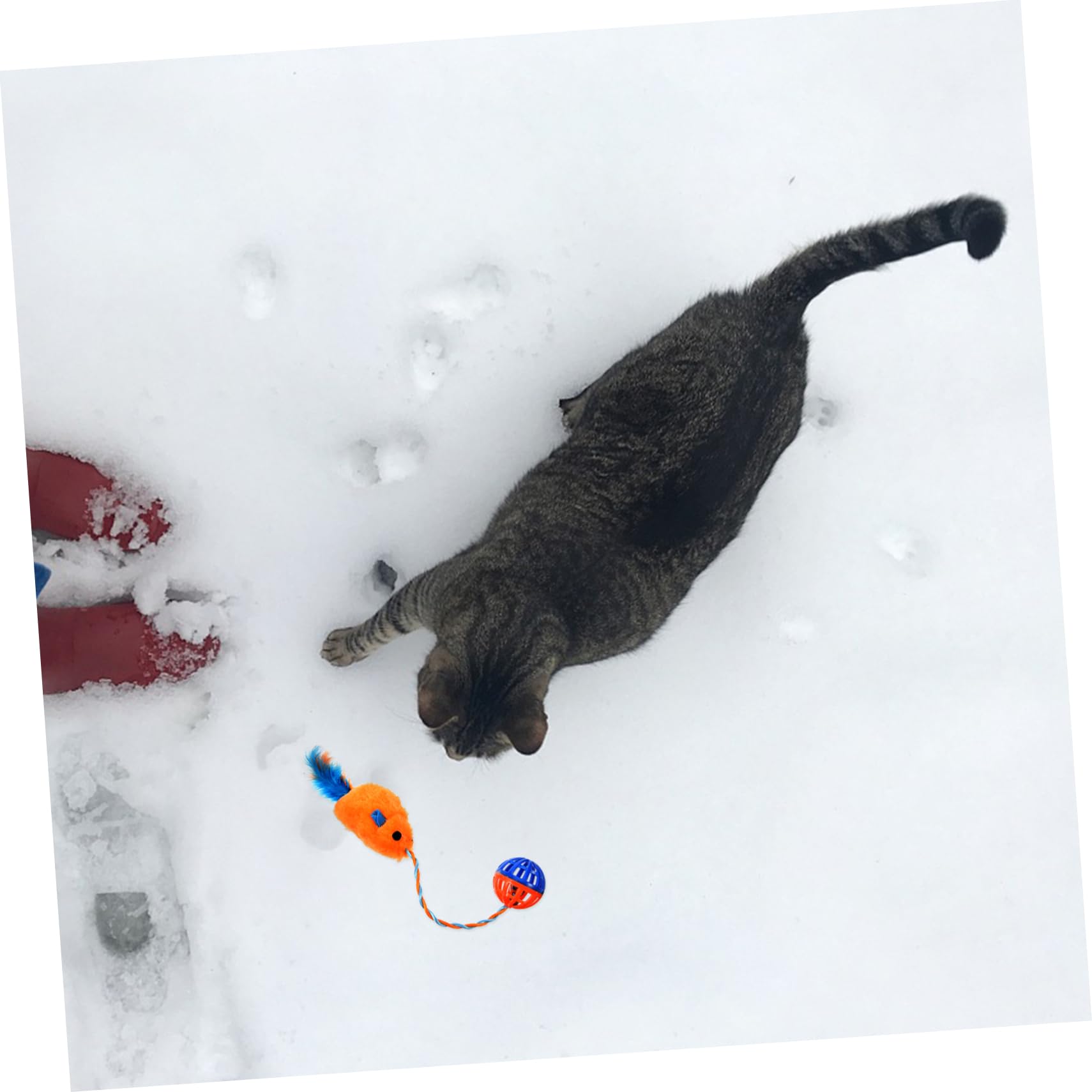 ibasenice Jouet pour Chats en Peluche avec Clochette en Plastique, Jouet Interactif pour Chatons Intérieur, Stimulant et Relaxant, Divertissement et L'activité
