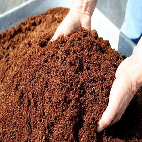 ORGANZEE NEST Cocopeat Powder 100% Organic Loose Powder Indoor & Outdoor Plants, Kitchen, Terrace Gardening Soil Manure Sustainable and Versatile, Enrichment and Healthy Solution for Plant Growth (4) (B0CC4WN328) Amazon Price History, Amazon Price Tracker