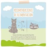Ver la foto 3