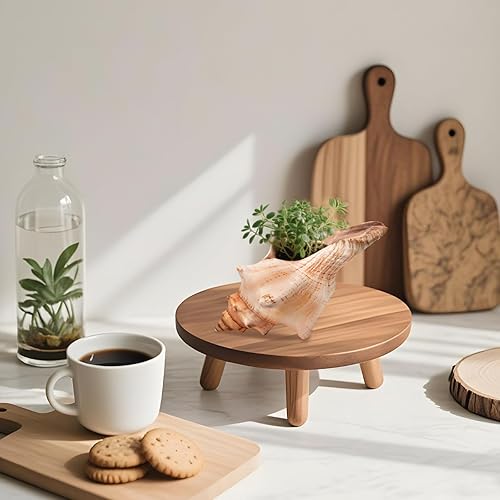 Miniatura 7 de Concha gigante natural de concha, concha de zorro a rayas de 6 a 7 pulgadas, concha de mar grande para relleno de jarrón