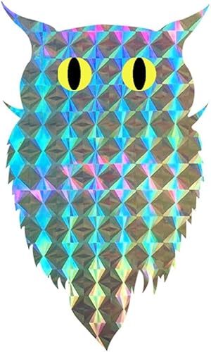 Pegatinas autoadhesivas para pájaros 100 unidades por rollo diseño de búhos