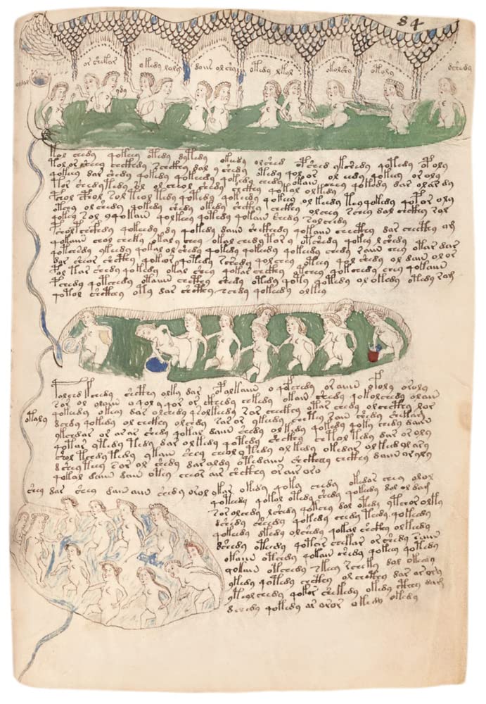 Das Voynich Manuskript: Gesamtdarstellung aller Tafeln der geheimnisvollen illuminierten Handschrift