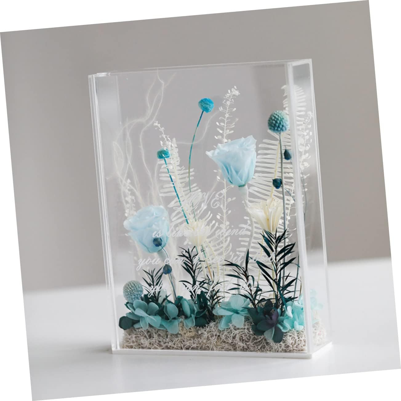 BESTOYARD 2pcs Transparent Display Case for Dried Flowers Figures Elegant Shadow Box for Home Decor and Keepsakes for Photos and