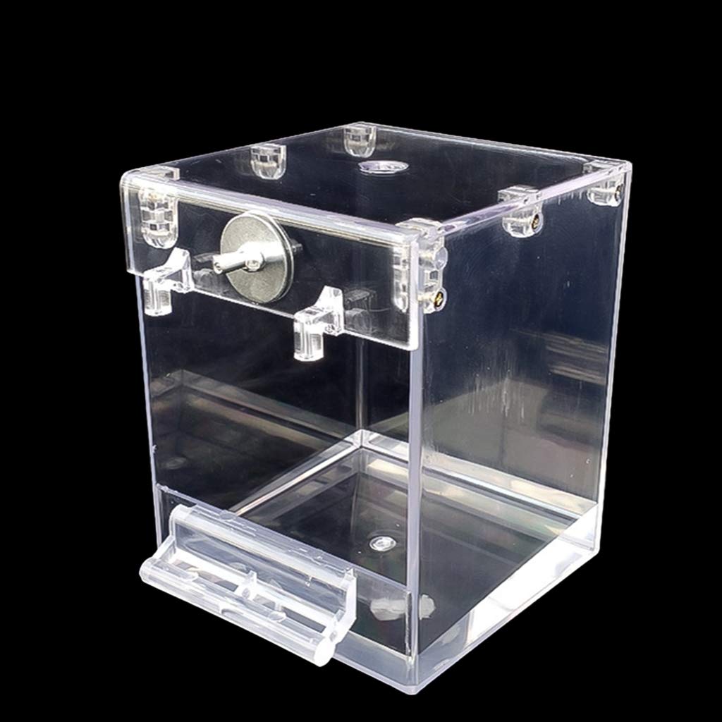 LIJUN Uccello Vasca da Bagno Pappagallo Vasca da Bagno Box Doccia Ciotola Gabbia Spazio di Lavaggio Accessori per la toelettatura