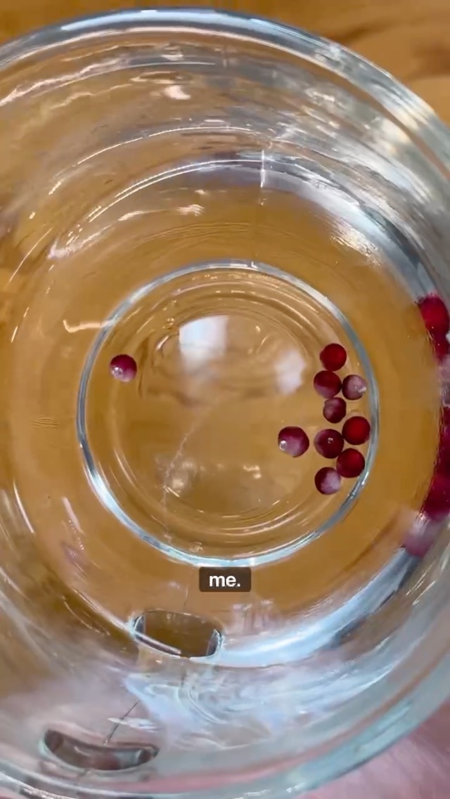 Harvesting Anthurium Seeds IndoorPlants