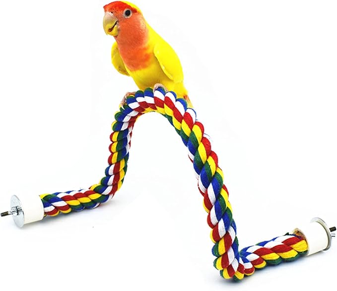 TOYANDONA Vogelsitzstange Mit Schaukel - Spielzeug Für Papageien, Sittiche & Wellensittiche