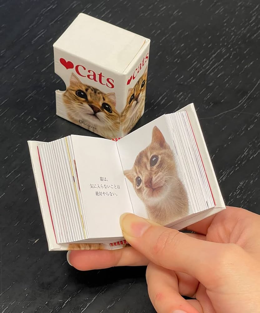 洋書 CATS life 洋書 CATS life 洋書 CATS life Cat Life