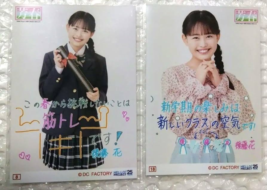 7246 アンジュルム 後藤花 生写真 2枚セット 7246 アンジュルム 後藤花 生写真 2枚セット