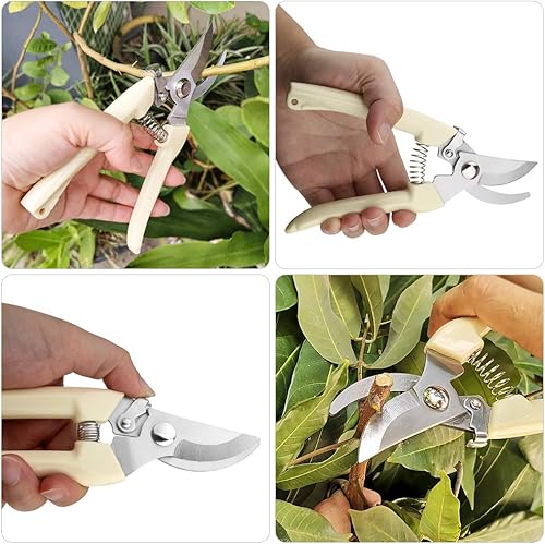 Miniatura 6 de Tijeras de podar profesionales, tijeras manuales de derivación de acero inoxidable, máquina de podar, tijeras de jardín (paquete de 2)