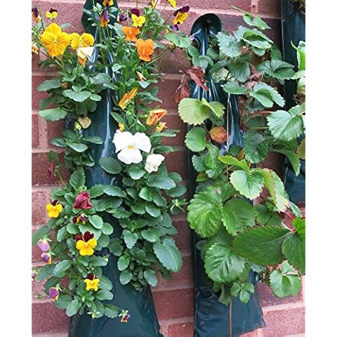 Lot de 2 pots suspendus Bowry Cover