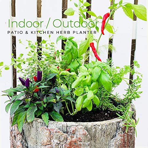 Bushy Box 🌳 Large Hollow Log Planter. Outdoor Garden, Yard & Porch Pot. Tall Tree Stump Well Pump Cover. Weatherproof, Rustic, Natural Looking Deck & Patio Decor. Better Than A Fake Rock. #TOP4