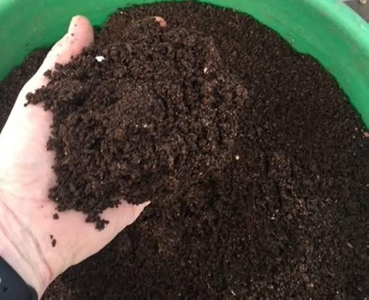 Gauris Black Soil for Plants Health Manure(KHET KI MIITI + KHHAD) Soil (5 KG) (B0BHXBB98X) Amazon Price History, Amazon Price Tracker