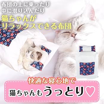 ★新品・未開封★夜は猫といっしょ 長座布団 楽天市場】座布団 椅子 ソファー クッション 猫 ネコ にくきゅう