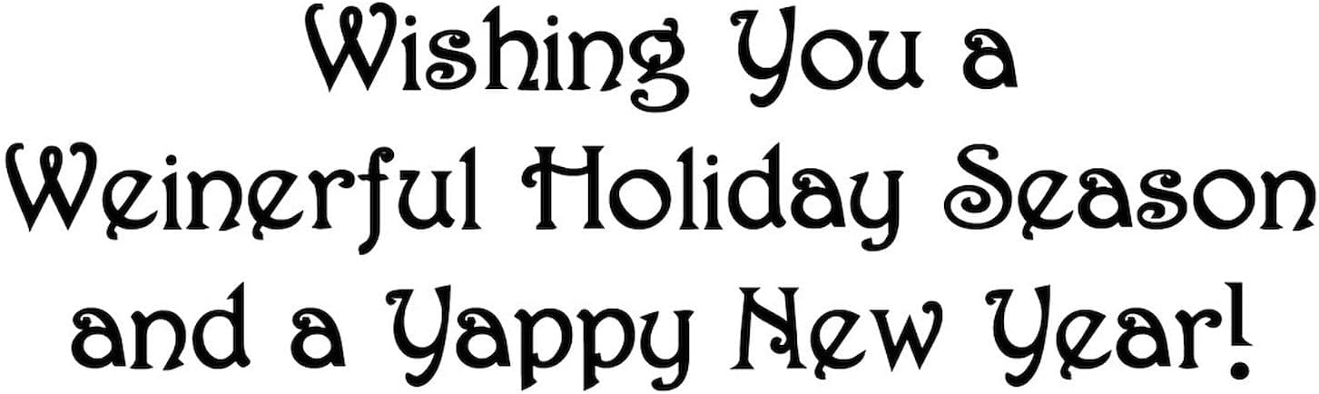 CafePress Snow Weiner Dog Christmas Greeting Cards (10) Folded Greeting Cards (10-pack) Glossy
