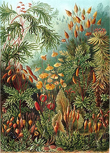Papiers peints décoration tropicale en latex résistant de 290x290cm