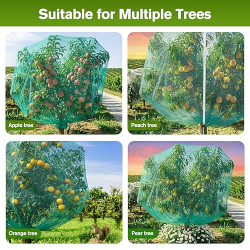 KEOHOLI 12FTx12FT Green Large Fruit Tree Netting Reusable Durable Mesh Cover with Zipper and Drawstring for Fruit Tree Protection Cover from Birds Cicadas Squirrels and Insects by KEOHOLI - Used condition - Image 7