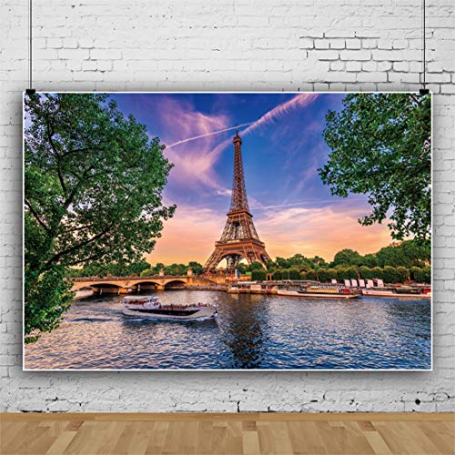 Fondo Fotográfico Torre Eiffel 2.2x1.5m Vinilo miniatura 3