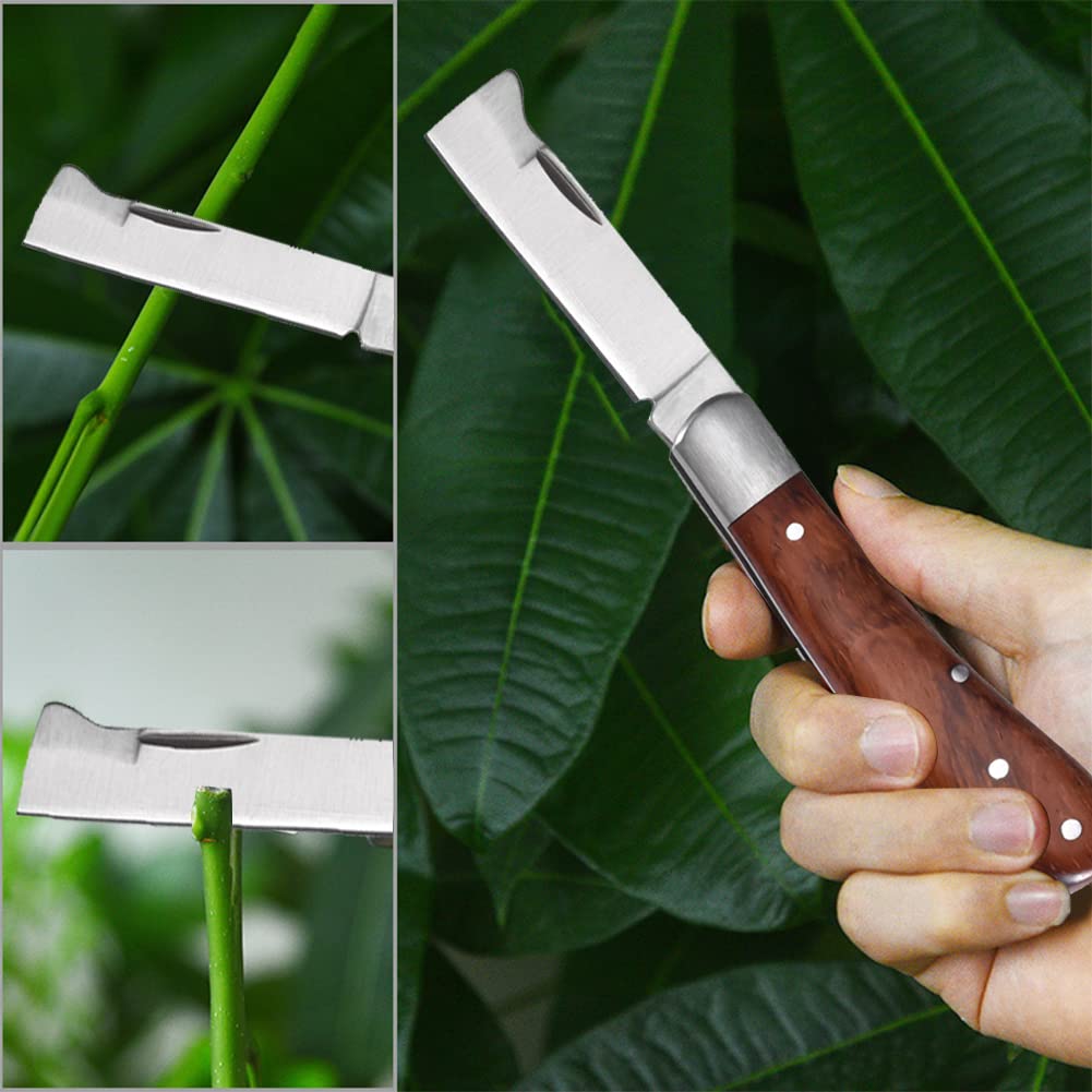 Coltello Da Innesto Pieghevole in Acciaio Inossidabile - Cesoia Da Giardino per Taglio Piante