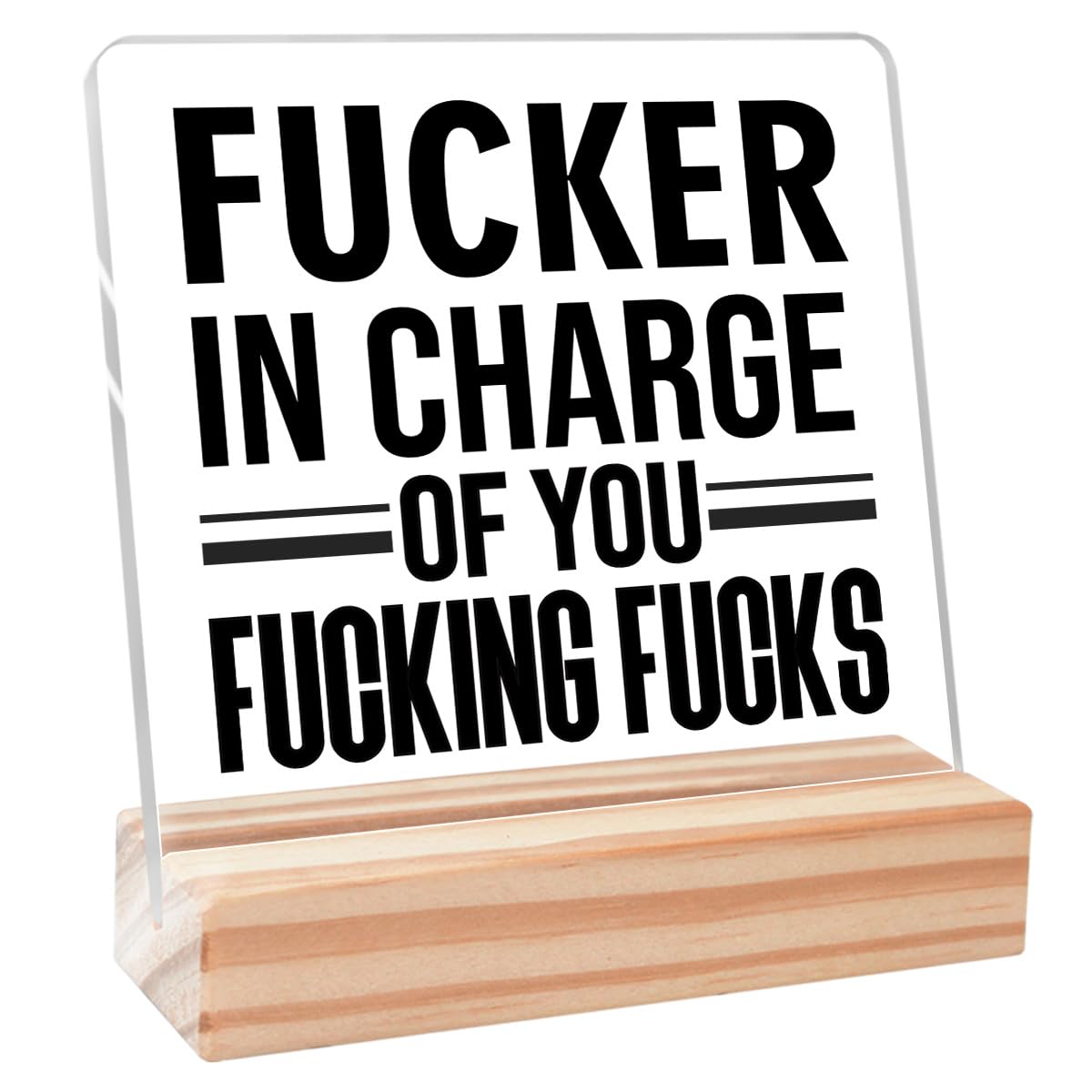 Acrylic Funny Office Signs,Funny Office Cubicle Gifts for Coworker Employee,Humor Office Gifts for Boss Leader,Fucker In Charge of You Fucking Fucks Acrylic Plaque Sign Desk Decor