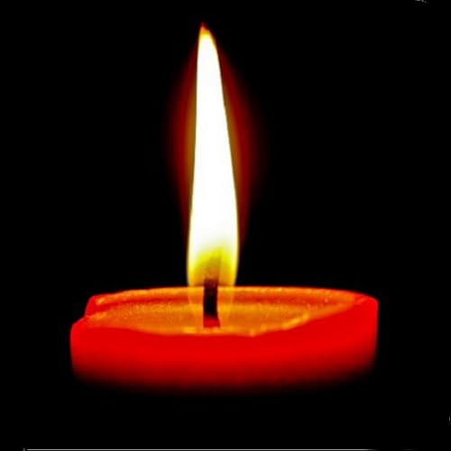 Prayer, Daily Mass Readings 2021. Gospel Today