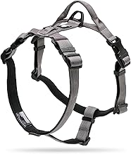 TRUE LOVE Harnais pour Chien Gilet Rembourré Durable Réfléchissant Réglable pour Animaux de Compagnie TLH6171(Gris,L)