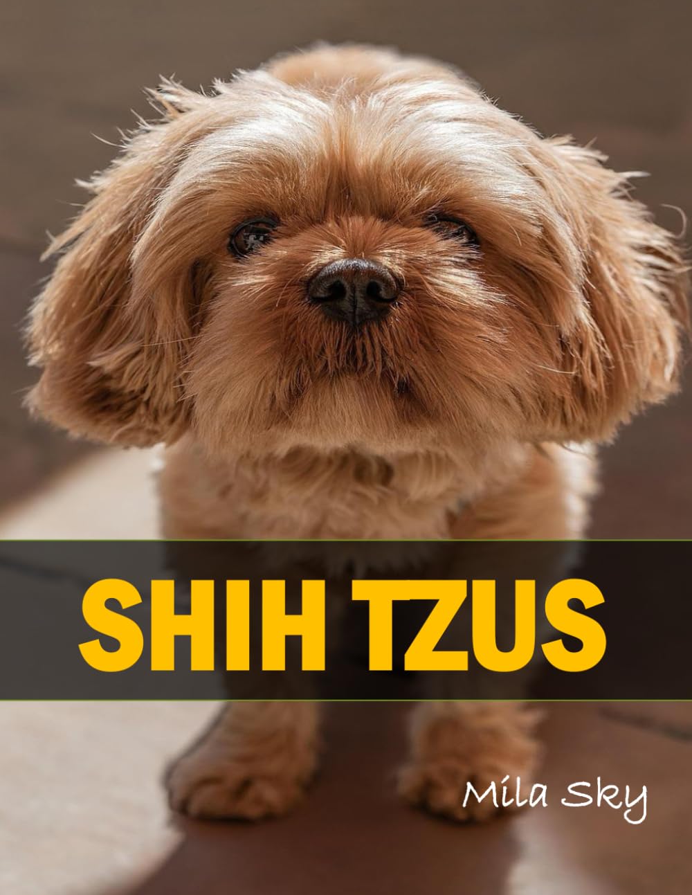SHIH TZUS: A Coffee Table Photo Book for Animal Lovers