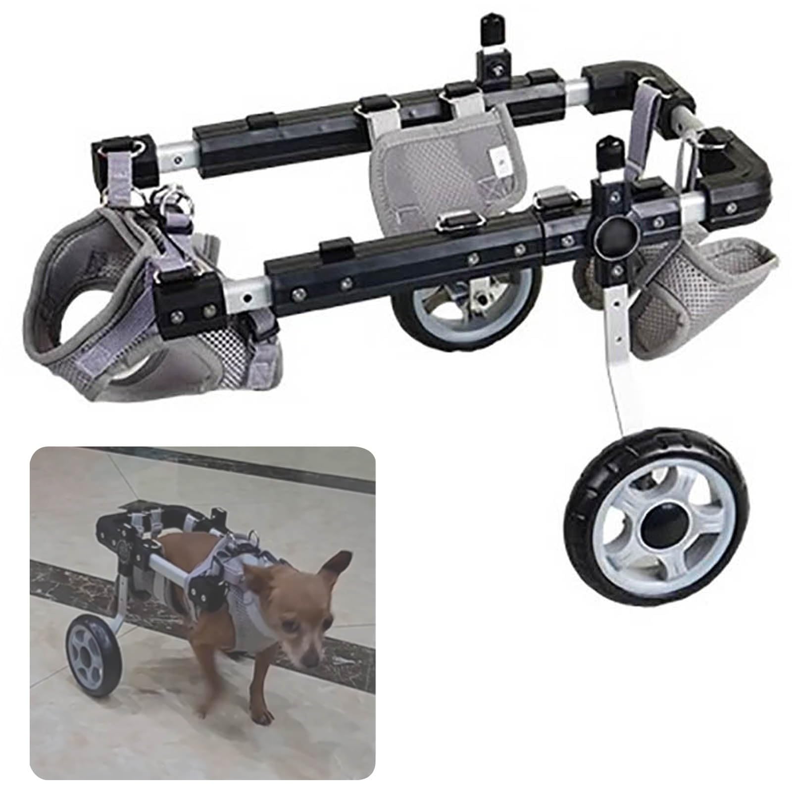 Fauteuil roulant pour animaux de compagnie pour des balades en forêt réussies