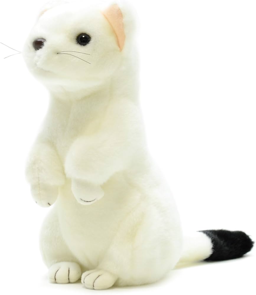 Amazon.co.jp: AQUA ぬいぐるみ ネイチャー オコジョ M 00130002