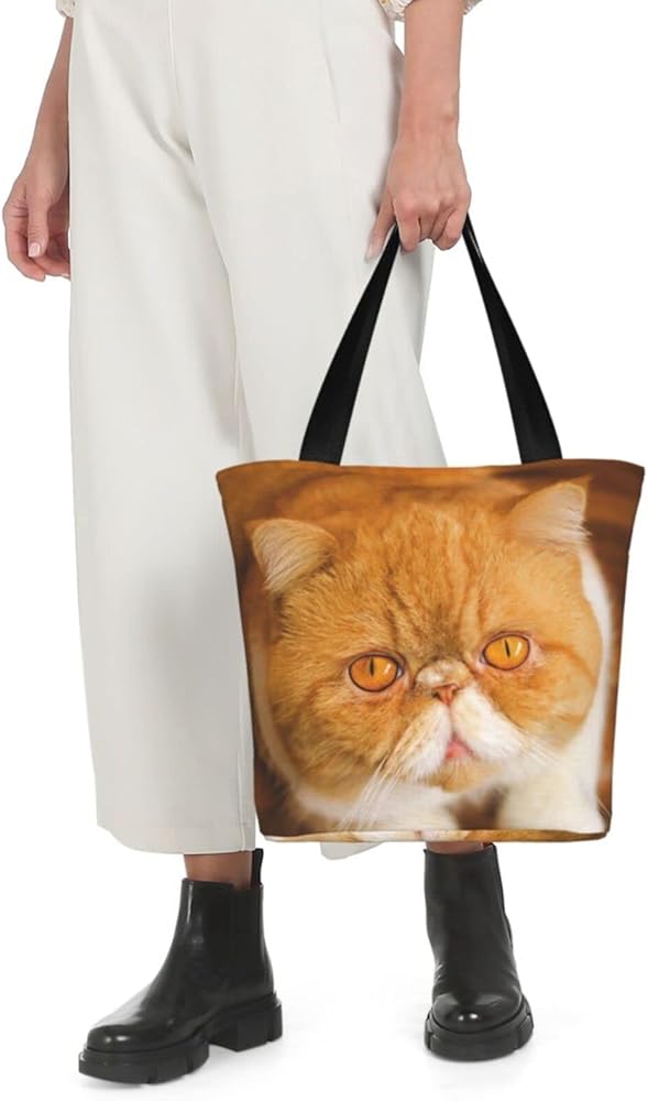 Amazon | [Hedago] 可愛いエキゾチックショートヘア猫 トートバック A4