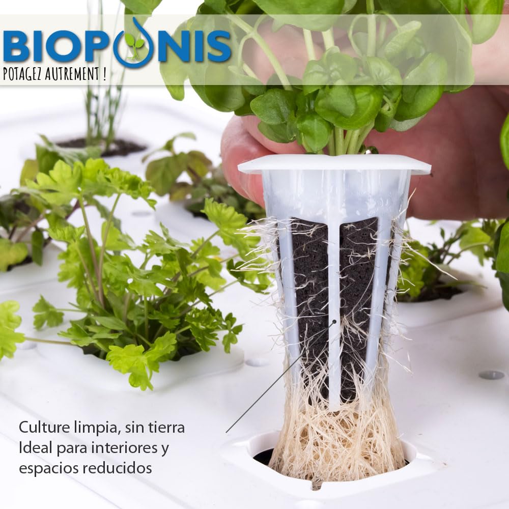 Eden Negro - Huerto de Interior para Plantas Aromáticas