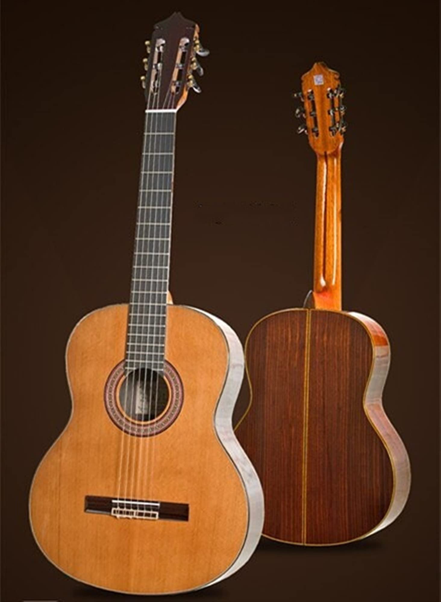 アコースティックギター Amazon.co.jp: PLAYTECH(旧ZENN） プレイテックゼン