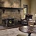 Duluth Forge FDSR25-GF Dual Fuel Ventless Gas Stove, Gloss Finish, Remote Control, 26,000 BTU