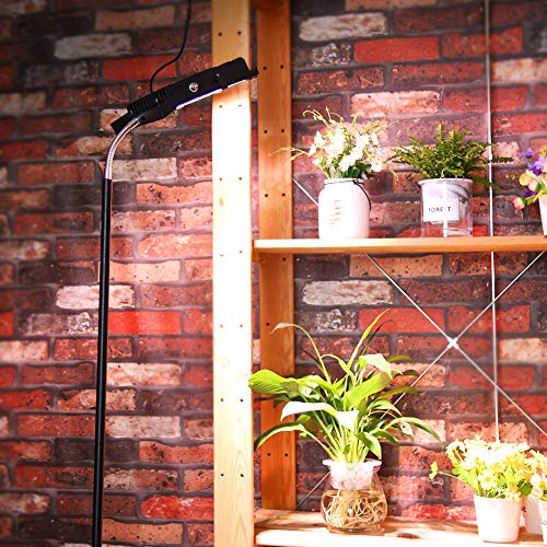 Dommia Floor Lamp LED Grow Lights, 35W Floor Stand Plant Light with Flexible Gooseneck, Full Spectrum Sunlight Plant Growing Lamp for Indoor Plants, Gardening, Hydroponics - Thumbnail 7