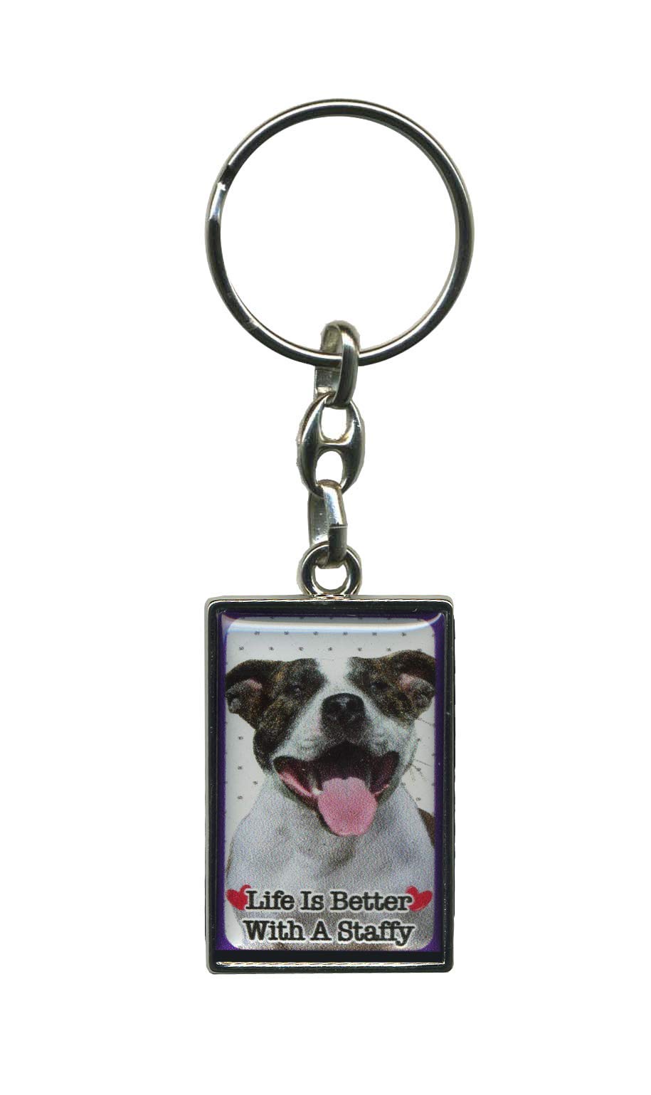 Instant Gifts Multicolour Metal Keyring - Life Is Better With A Dog (Staffy (Black & White))
