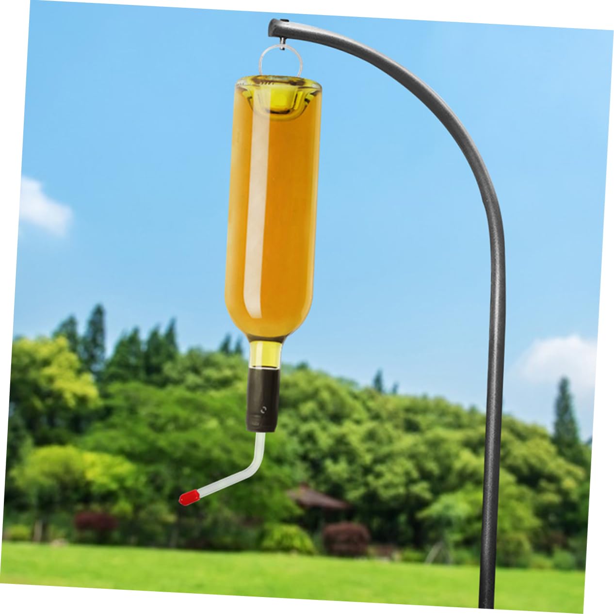 TOYANDONA 3 Series Comedero para Colibríes Bebiendo Alimentador Comedero Multifunción para Colibríes Sondas De Alimentacion Comederos De Colibrí Bebedero para Pájaros Vidrio 3 Piezas*3