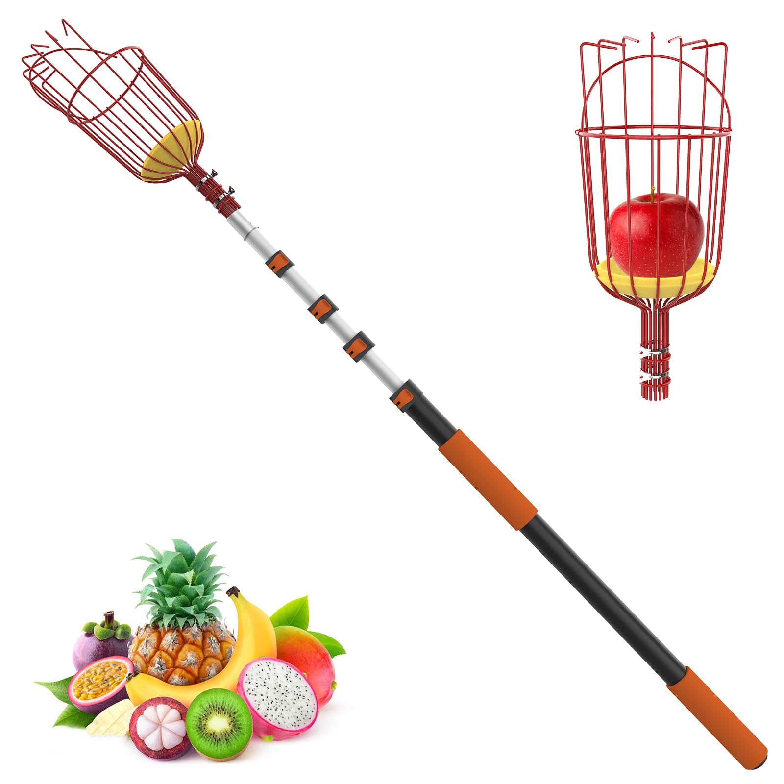 LAANPOLE Cueille Fruit Telescopique 6m avec Grand Panier de Cueillette pour Pommes, Oranges, Citrons