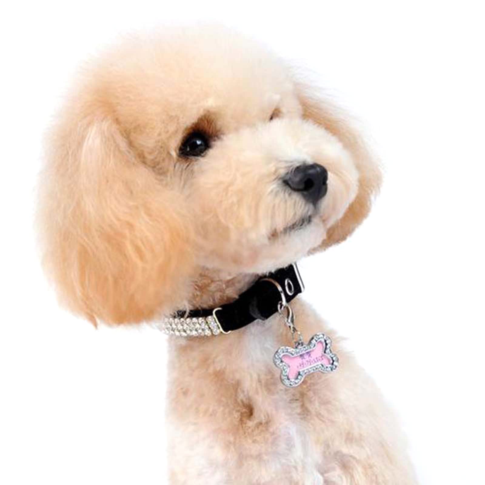 DRAGONRUN Cats Pet Collar Charm Bone Dog Pet for Dogs Dogs for Pets Small