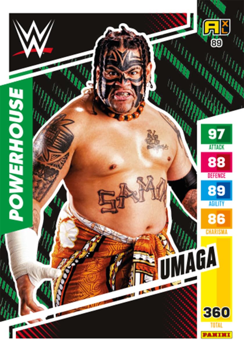 Panini WWE Trading Cards (Box with 24 Pockets) : Amazon.nl: Toys