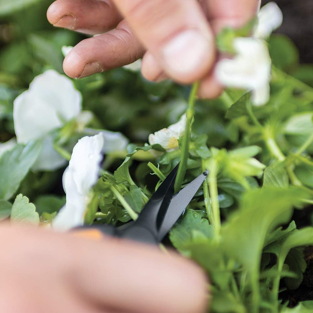 Fiskars 399241-1001 Micro-Tip Pruner : Patio, Lawn & Garden