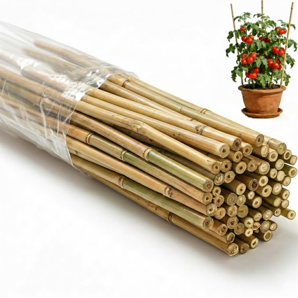 Photo 1 of *Minor damage* 55 Pcs Bamboo Plant Stakes 6 Feet, Oltara Natural Bamboo Sticks Garden Stakes for Climbing Plants Support, Potted Plants, Vegetables,Tomatoes, Beans, Flowers, Trees