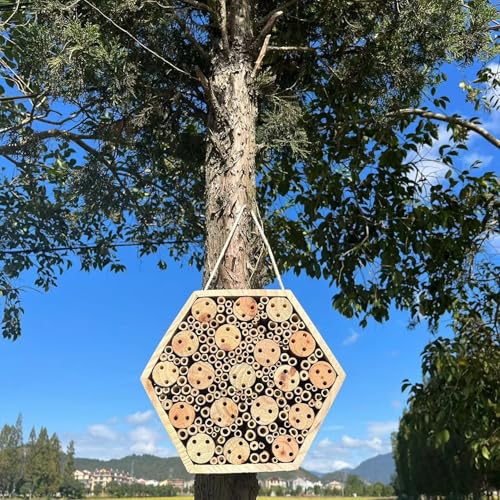 Hotel de insectos y abejas mason que atrae polinizadores al huerto 5